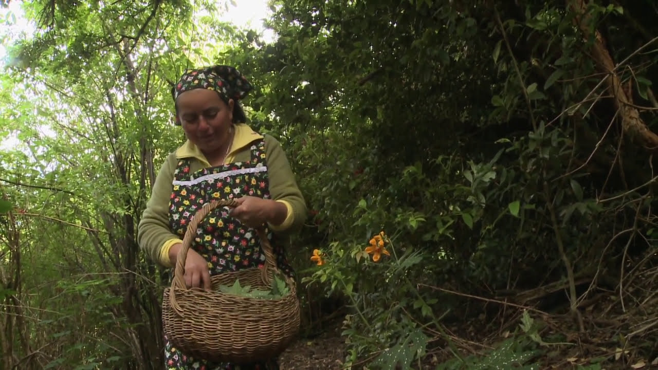 Frutos del País - Licanray