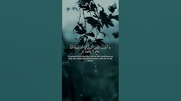 تلاوة خاشعة: سورة العنكبوت 1-3 | تريح القلب 💖