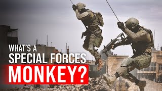 Israeli Counter-Terror Monkeys Explained