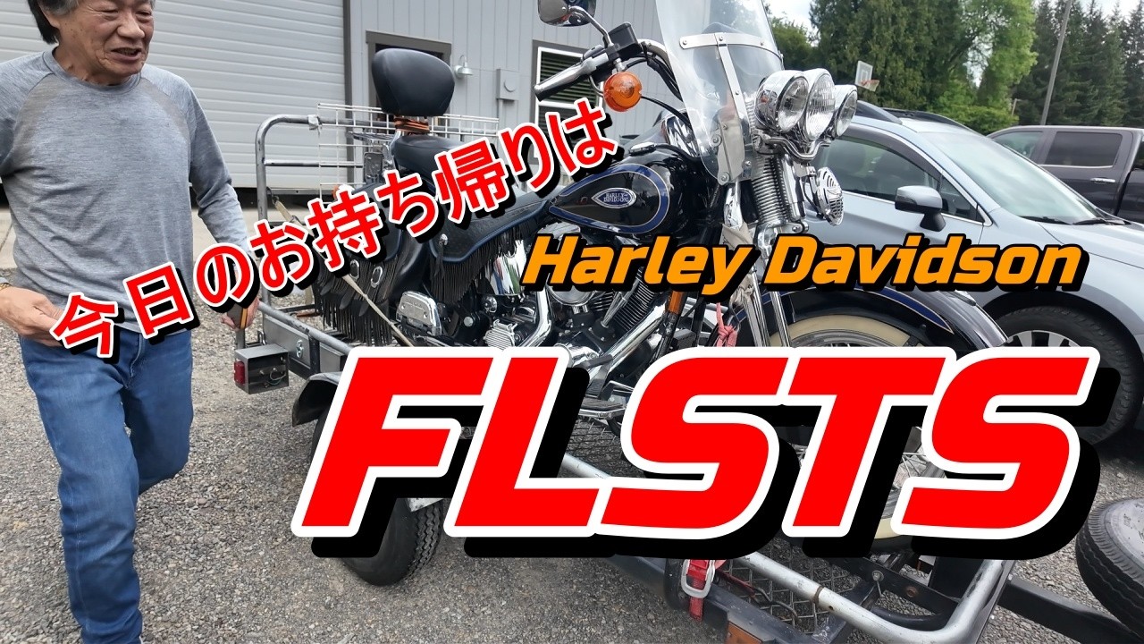 【今日のお持ち帰りはハーレーと出会ったZ世代のキレイなインパラ】
