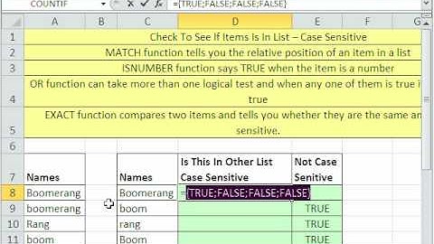 Excel Magic Trick 546: Is Item List?  Case Sensitive OR & EXACT functions
