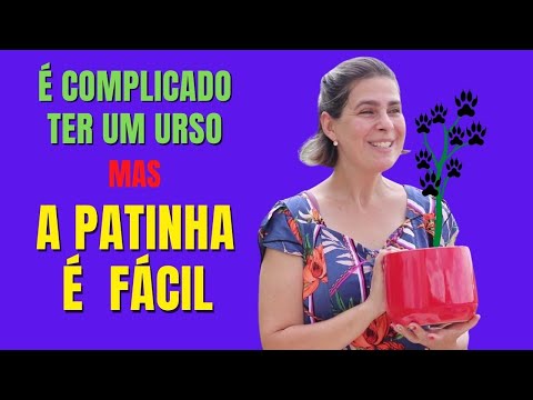 Vídeo: Què signifiquen vorades pintades de groc?