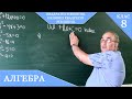 Курс 3(19). Заняття №1. Квадратні рівняння. Неповні квадратні рівняння. Алгебра 8.