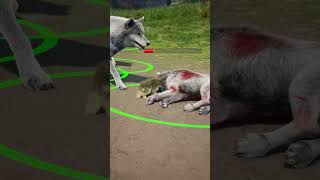 Even the strongest creatures have their moments of weakness #wolfgame #shorts