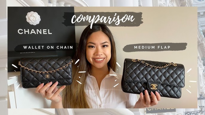 Chanel WOC vs LV Pochette Felicie