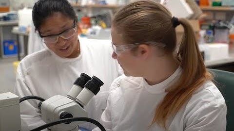 Collaborating with industry on data driven research