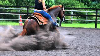 Quarter Horse Stallion Haidas Enterprise aka Texas