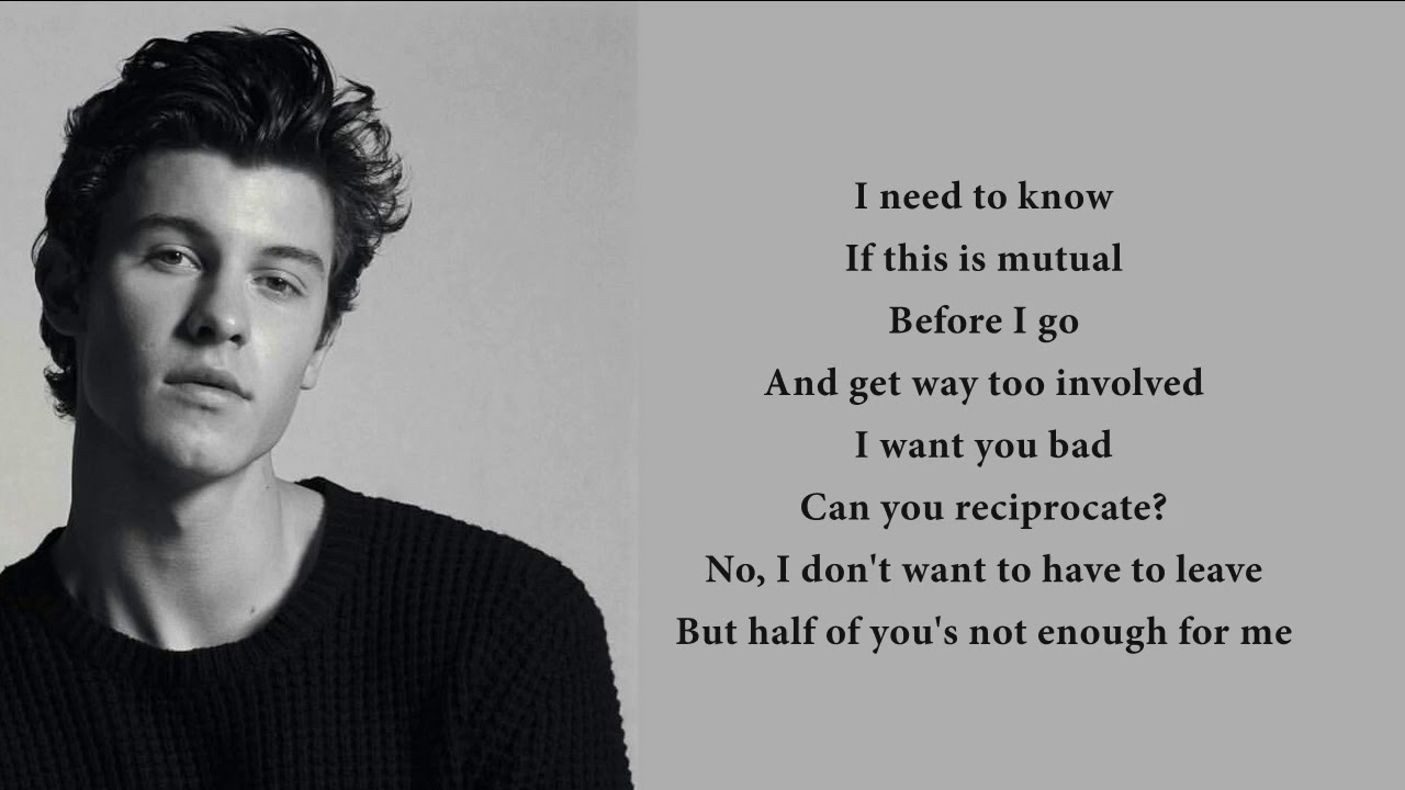 Shawn Mendes   Mutual lyrics