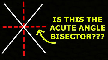 Determining the acute angle and obtuse angle bisector | ZJ learning | Straight Lines#18