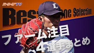 《Best Scene Selection》ファーム公式戦も充実配信!! 注目4選手のプレーまとめ
