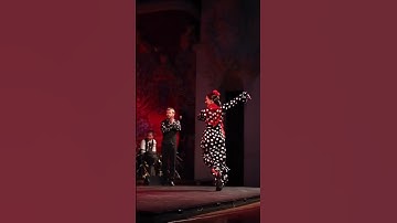 Thumbnail of Spanish flamenco 💃 dance