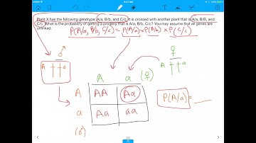 MCAT Question: How to Do Genetics With Multiple Alleles