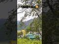 🏔️ Pahadon Ke Gaon Tak Ka Safar | Heaven on Earth ✨ #fyp #foryou #shortvideo #short #shortsfeed