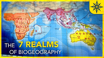 What Are The 7 Realms of Biogeography?