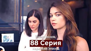 Зимородок 88 Cерия (Короткий Эпизод) (Русский Дубляж)