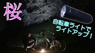 OLIGHT RN1500&RN120レビュー　夜桜をライトアップしてみる！　クロスバイク GIANT ESCAPE R3