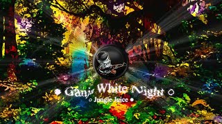 Ganja White Night, Liquid Stranger ● Jungle Juice [Bass Boosted]