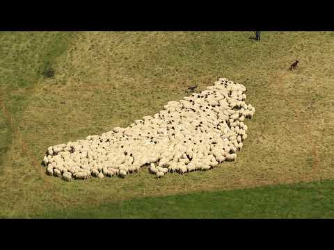 Video: Vom Menschen Geschaffene Landschaft