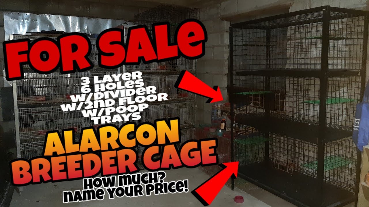 kalapati cage!ALARCON BREEDER CAGE,|Magkano kaya  gastos sa ganitong klase ng kulungan ng kalapati?