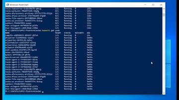 Setting up Persistent Storage on HPCC Systems® Containerized Deployment