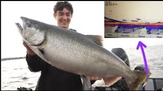 Jigging King Salmon (Livescope)
