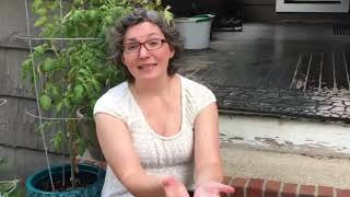 Prison Theatre and the Global Crisis of Incarceration - Countdown#02