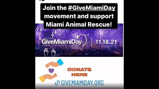 Give Miami Day 2021 Official Trailer Miami Animal Rescue