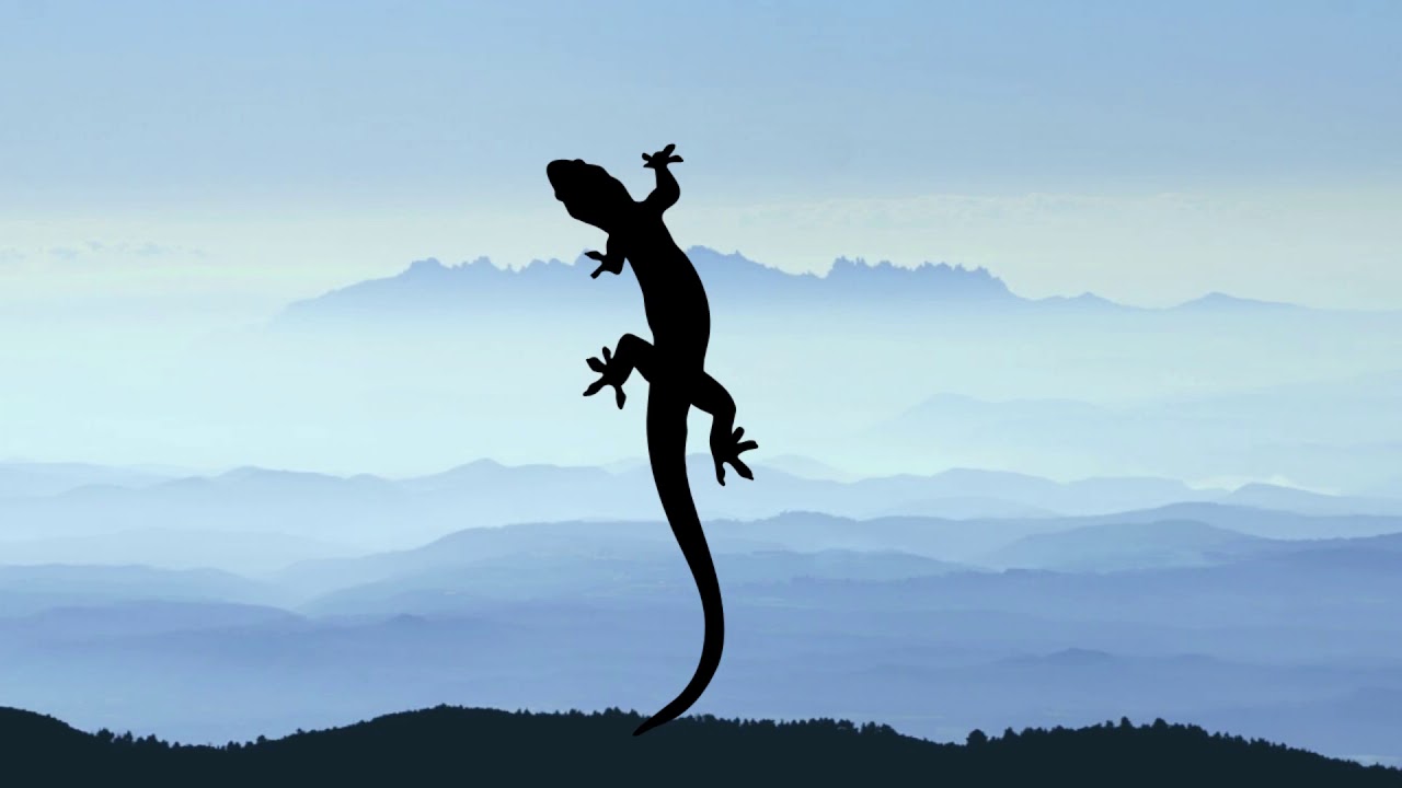 Ascence - Places Like That|NCS|Alpha|Summer2019|Salamndra...