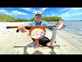 *BARRACUDA* CATCH, CLEAN & COOK on a REMOTE ISLAND (SPEARFISHING)