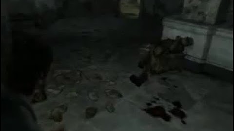 Chuck Norris in Fallout 3