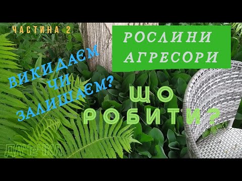 Рослини-агресори в саду. Що з ними робити.Частина 2. 10/06/2021