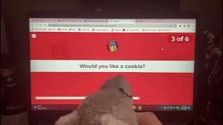 Sam rages on Kahoot! 5