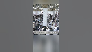 سورة [العصر: ١-٣]