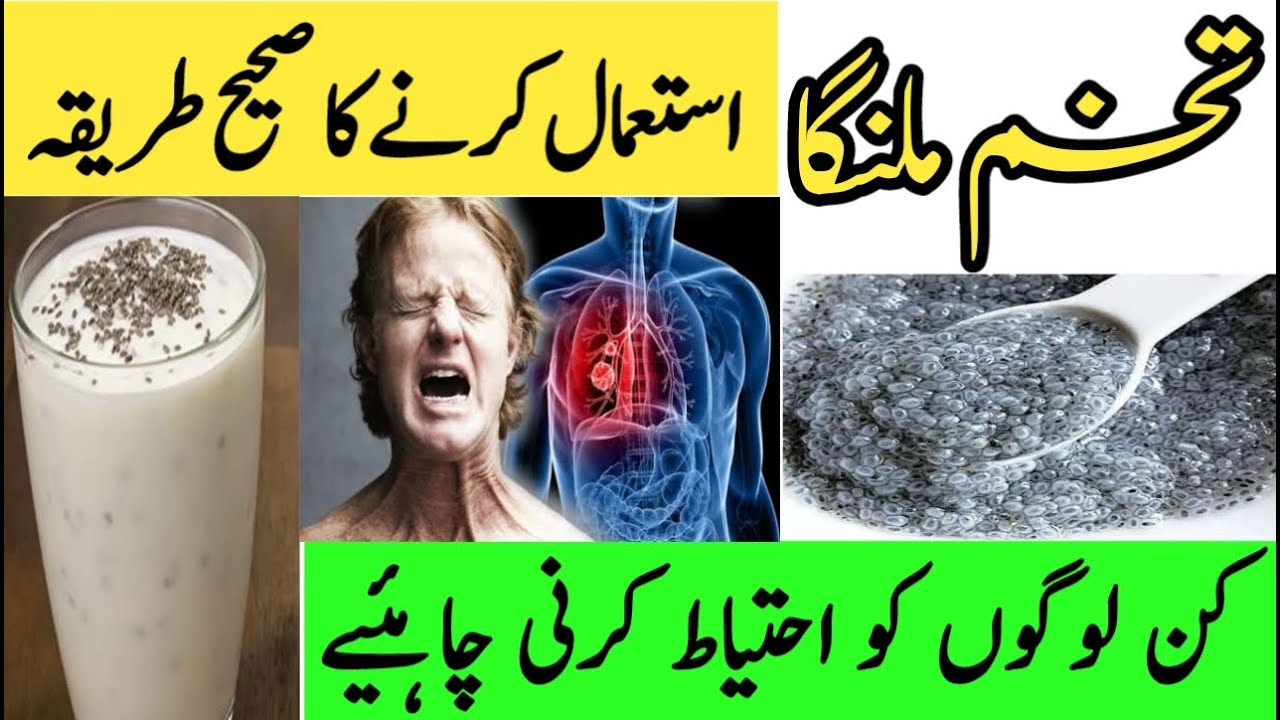 Doodh Or Tukh Malanga K Fayde In Urdu Basil Seeds Benefits How To