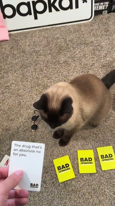 Download lagu Bad opinions