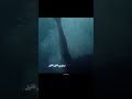 السيلاوي راحت وين Face Book Stories Lyrics Video السيلاوي راحت وين Face Book Stories Lyrics Video