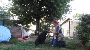 Katrin Hauser - KPA Germany 2017 - Lesson 7 Target with two body parts - finished