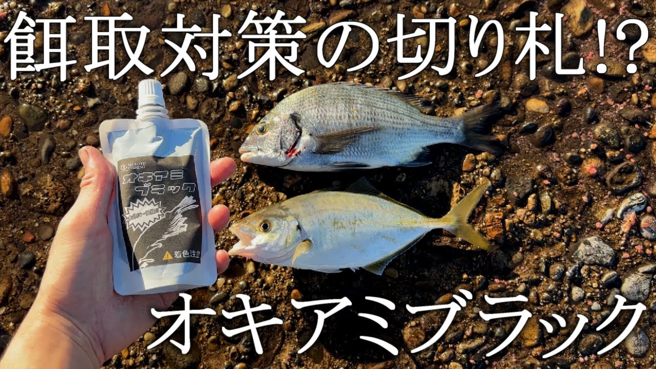 茨城】餌取りがどうしようもないときにオススメ！オキアミブラックの
