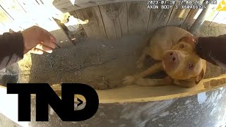 Officer braves flames and smoke to save chained dog from raging mobile home fire