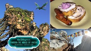 NEW Pandora The World Of Avatar Breakfast Review, Flight of Passage & Expedition Everest!