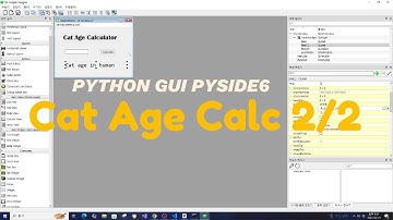 Cat Age Calculator  2/2 - Python PySide6 coding