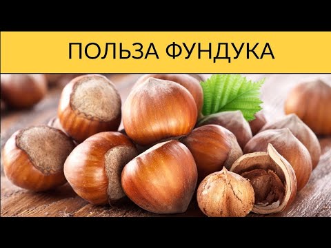 Видео: Есть ли у бука орехи каждый год?