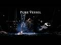 Hollow Knight vs Pure Vessel