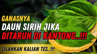 SILAHKAN TES..!! Keajaiban Meletakkan Daun Sirih di Dalam Kantong Dalam Dunia Spiritual...