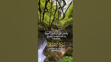 #ماشاء الله تبارك الله الرحمن تلاوة هادئة تريح النفس