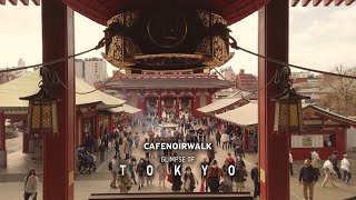 【4K】Glimpse of Tokyo - Asakusa Temple | Japan screenshot 4