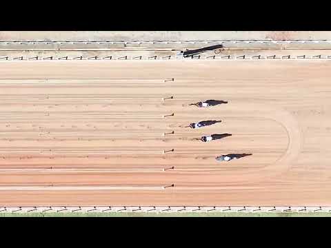 Vídeo: GP ABQM Rainha da Velocidade