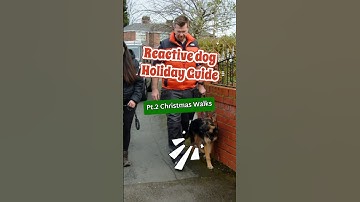 🎄 Christmas walks with your reactive dog #reactivedog #anxiousdog #christmasdogs