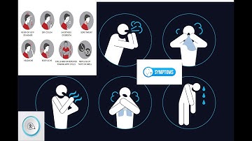Disease Prediction Based on Symptoms Using ML | DT | RF| NB #python #tkinter #ai #deeplearning