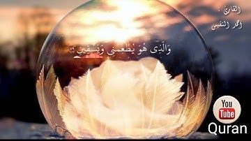 {الَّذِي خَلَقَنِي فَهُوَ يَهْدِينِ (78) تلاوة من سورة الشعراء🌸🍃